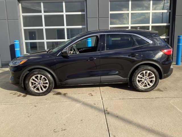 2020 Ford Escape SE photo 3