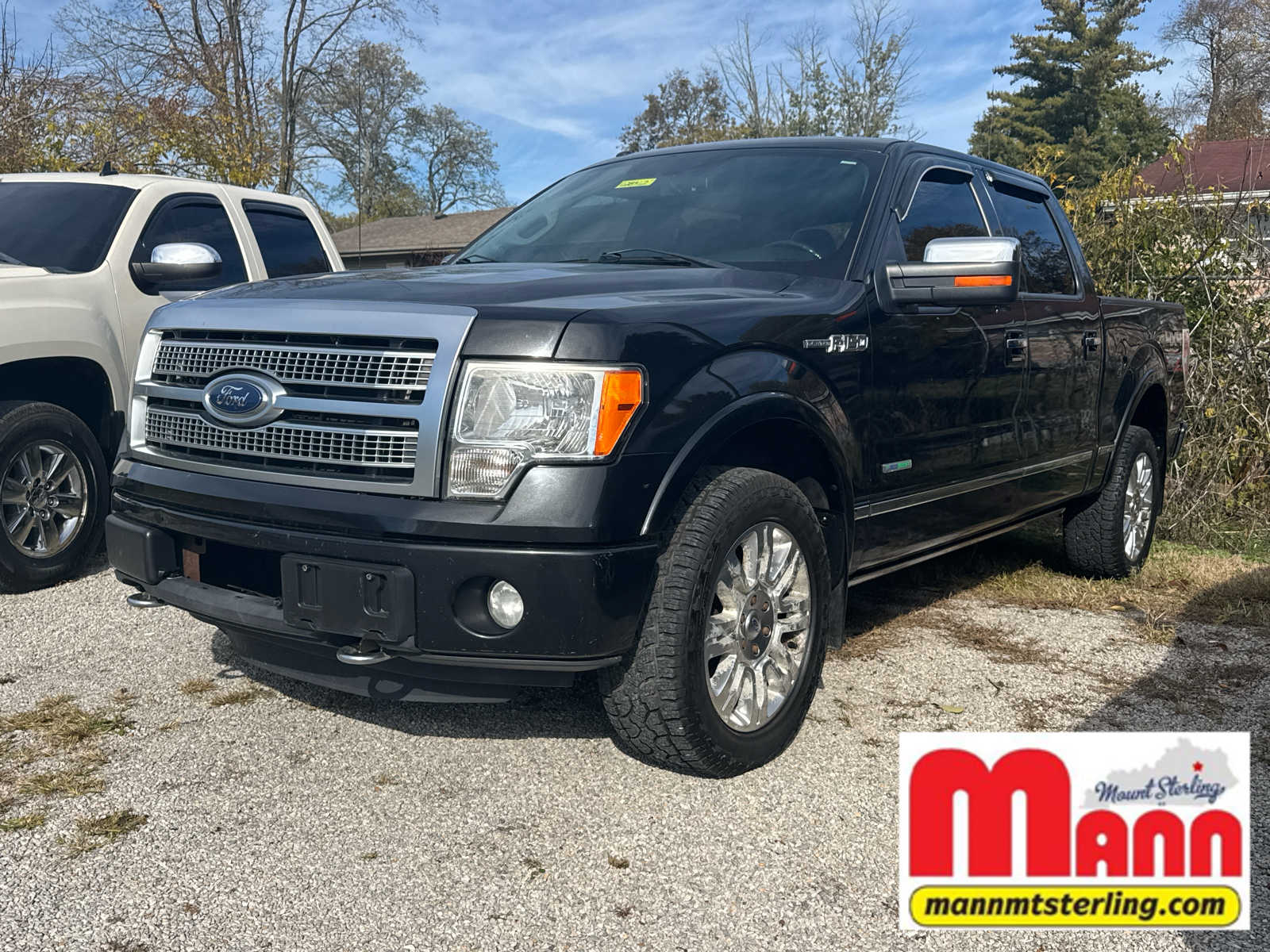 2012 Ford F-150 Platinum