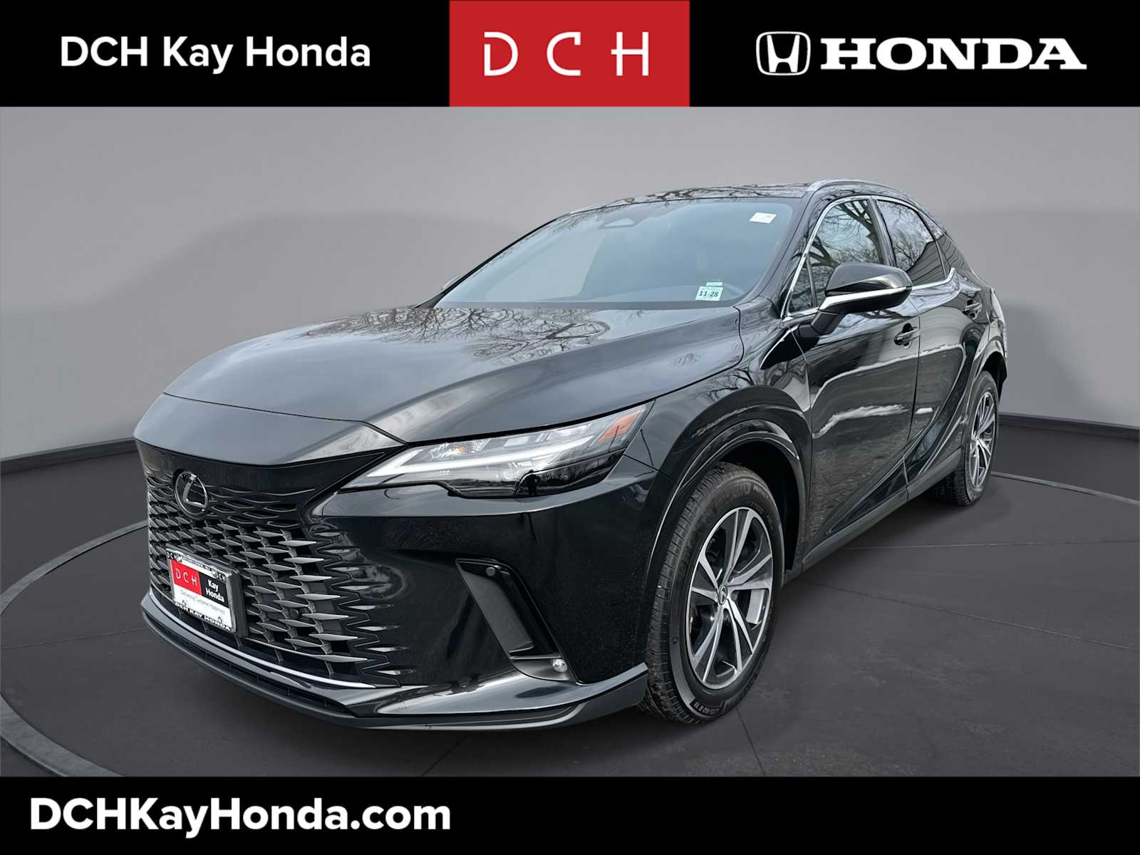 2023 Lexus RX 350's photo