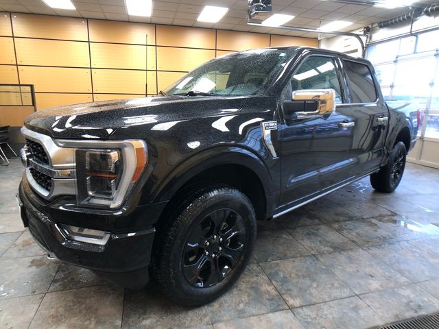 2023 Ford F-150 Platinum's photo