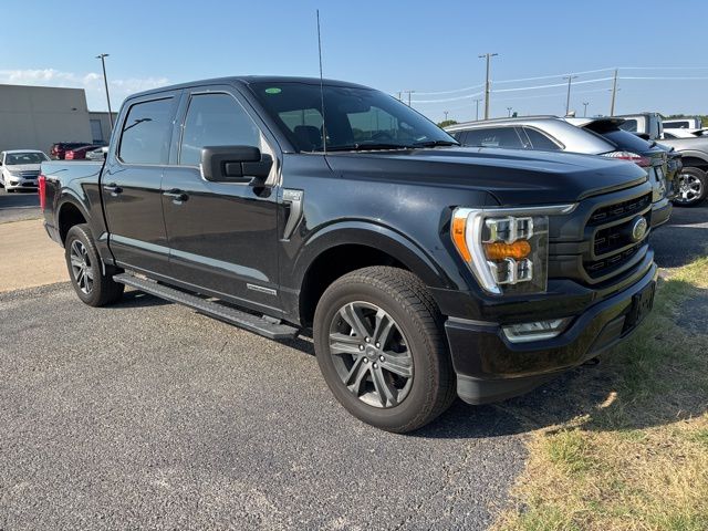 2023 Ford F-150 XLT photo 3