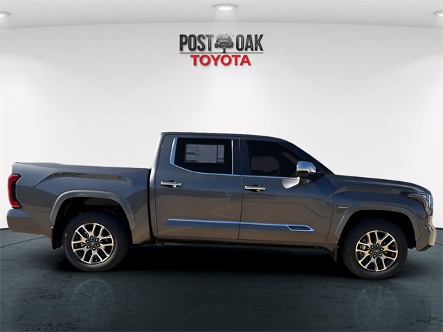 2025 Toyota Tundra 1794 Edition photo 9