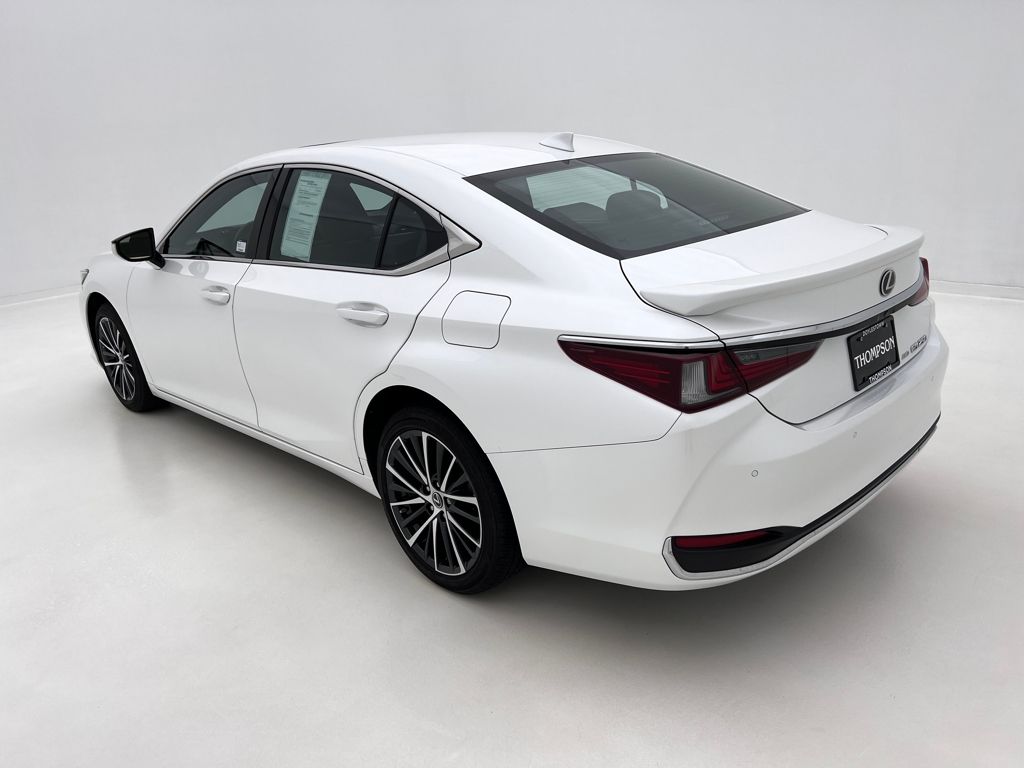 2022 Lexus ES 250 photo 10