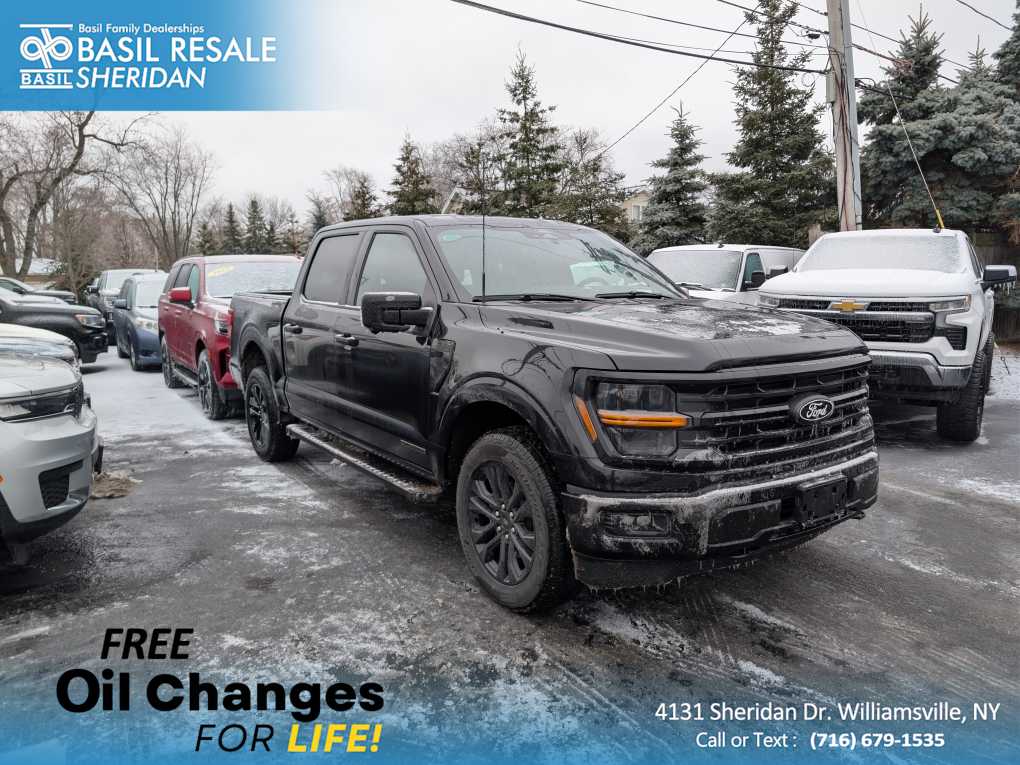 2025 Ford F-150 XLT's photo