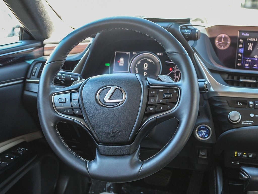 2021 Lexus ES 300h photo 13