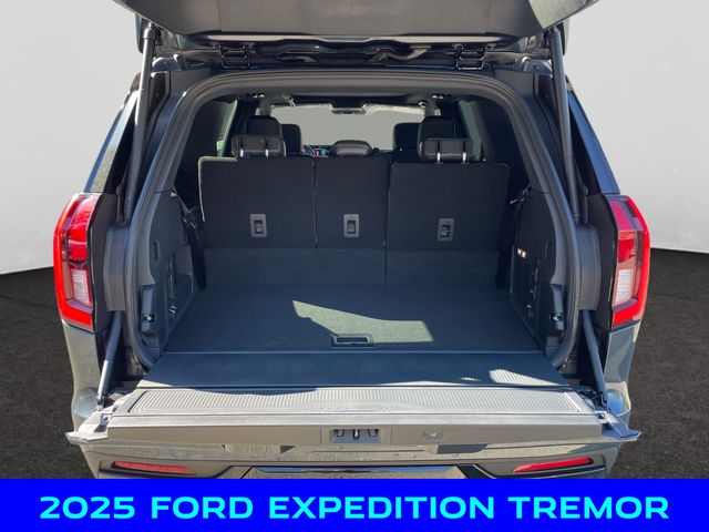 2025 Ford Expedition photo 3