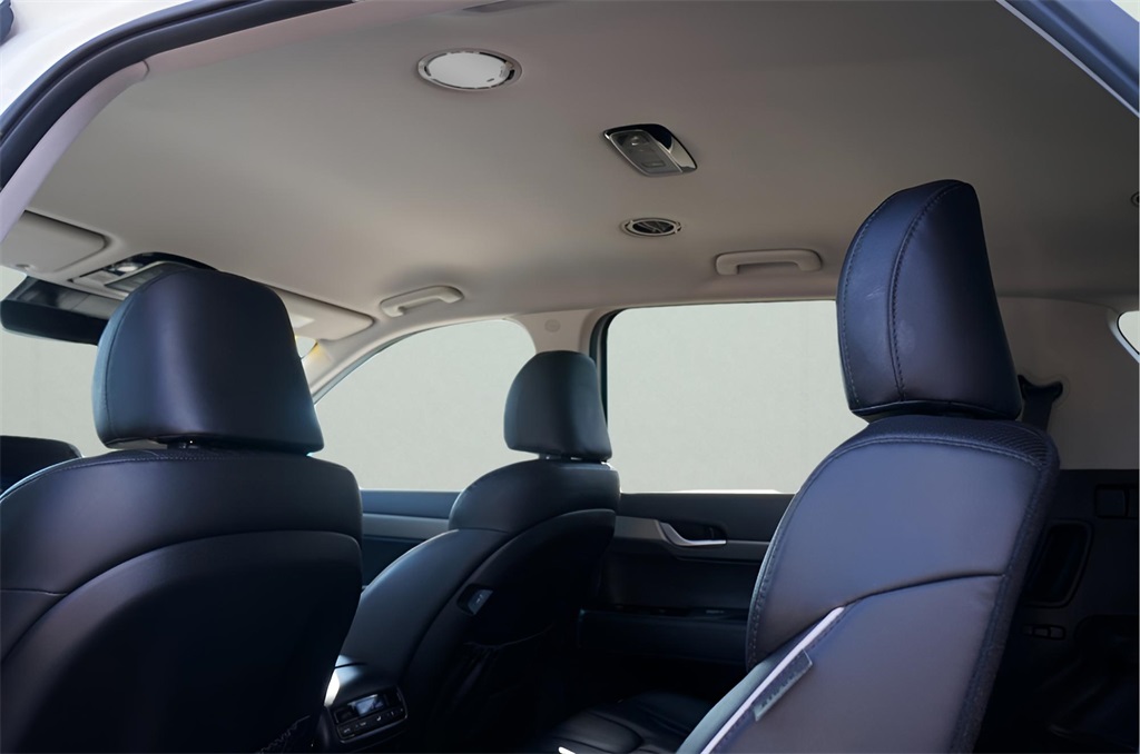 2024 Hyundai Palisade SEL photo 6