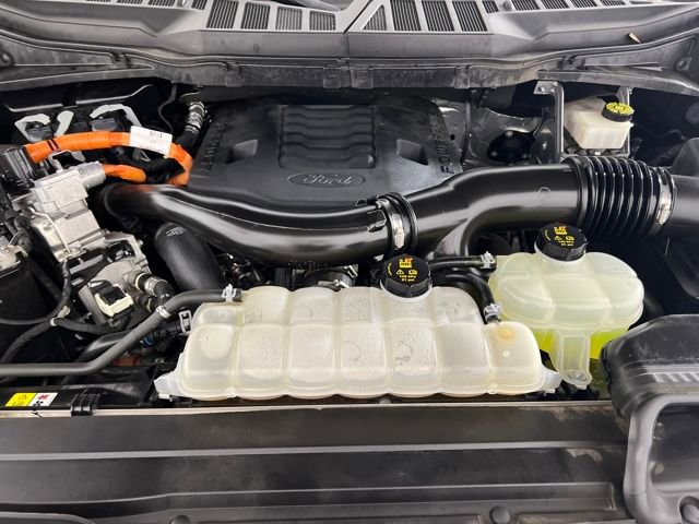 2023 Ford F-150 Limited photo 19