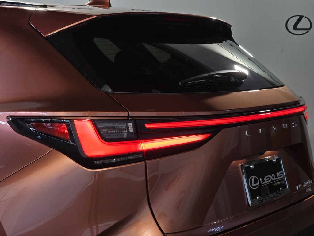 2025 Lexus NX 450h+ F SPORT photo 10