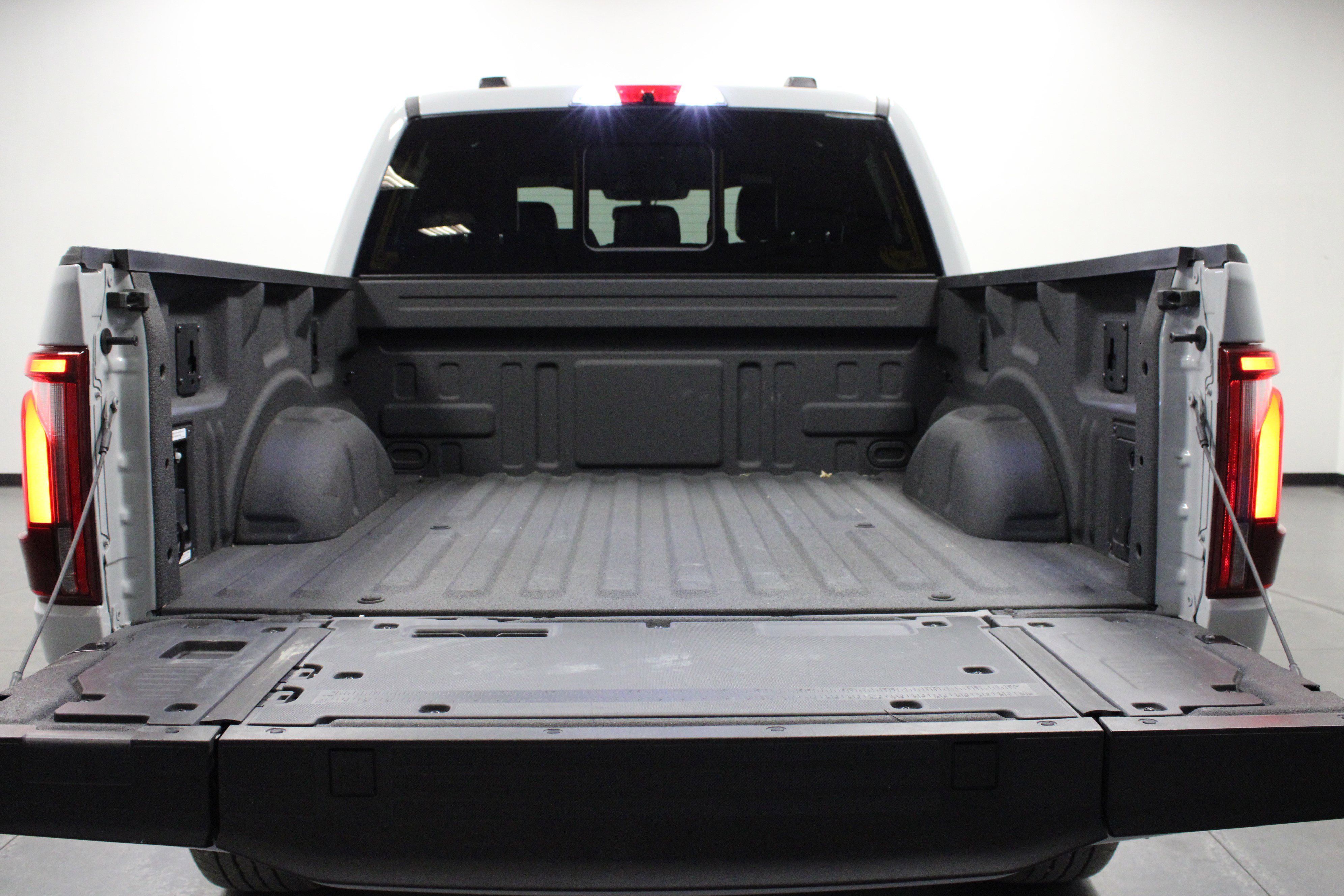 2024 Ford F-150 Platinum photo 13