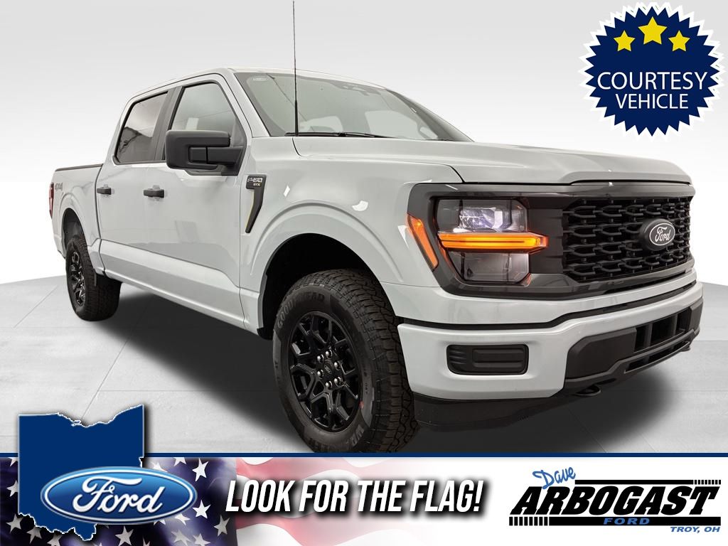 2025 Ford F-150 STX's photo