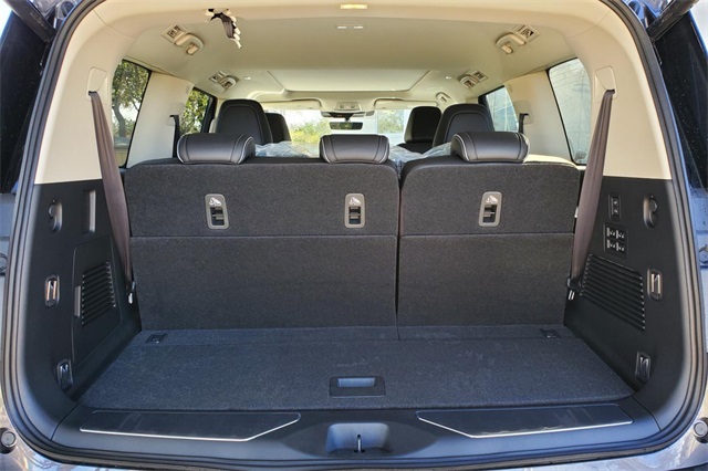2025 Infiniti QX80 Luxe photo 7