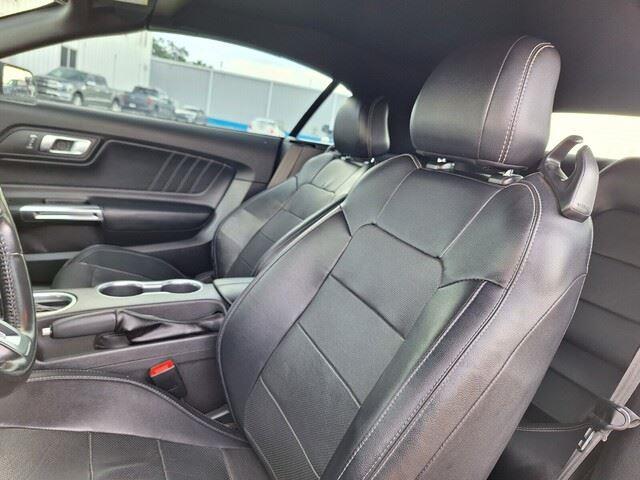 2019 Ford Mustang EcoBoost Premium photo 9