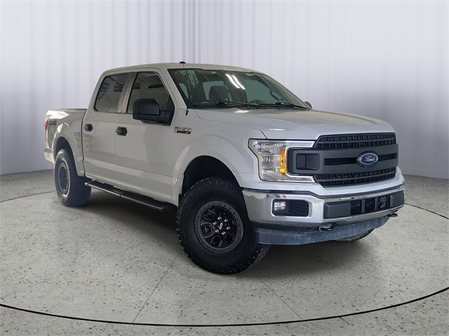2019 Ford F-150 XL's photo