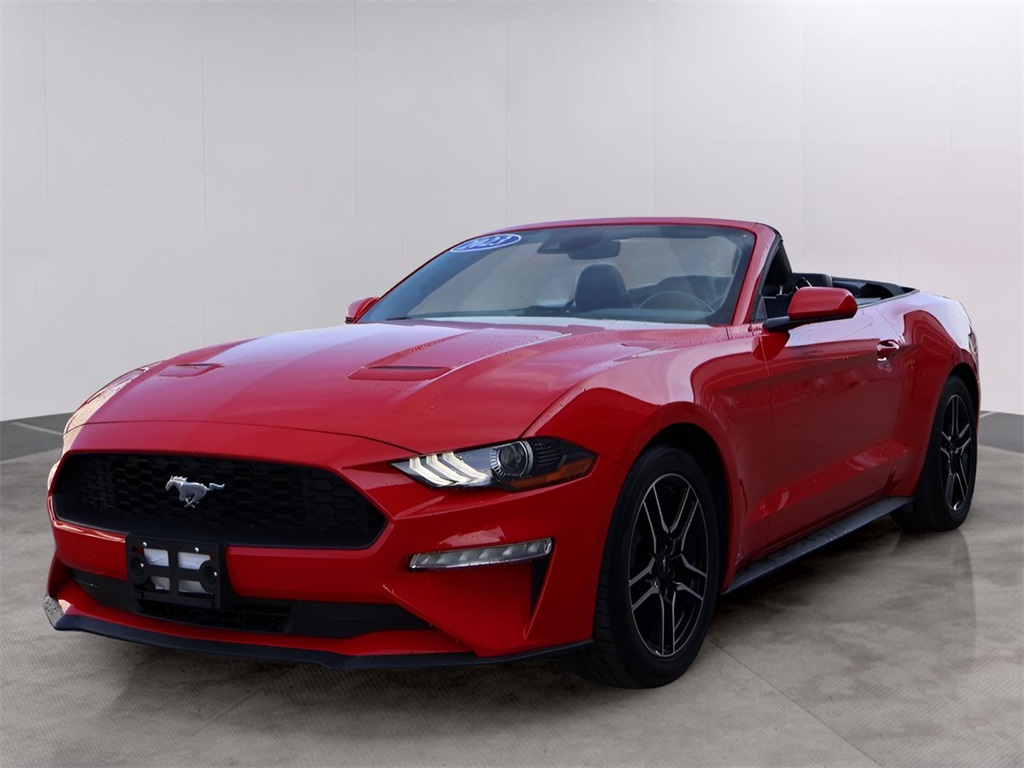 2023 Ford Mustang EcoBoost Premium photo 3