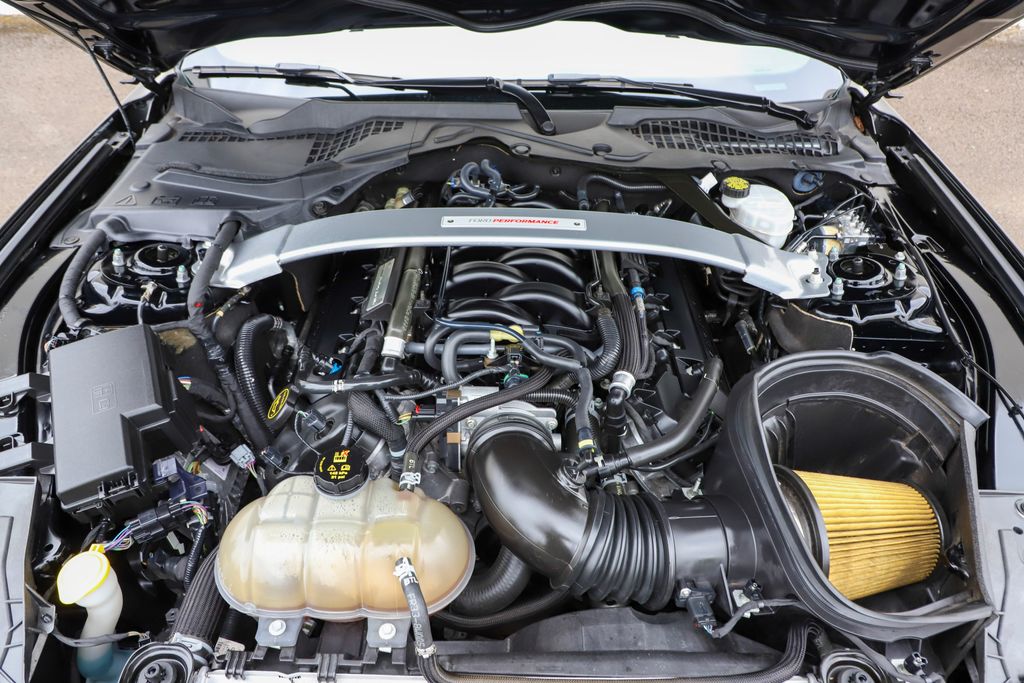 2018 Ford Mustang Shelby GT350 photo 47