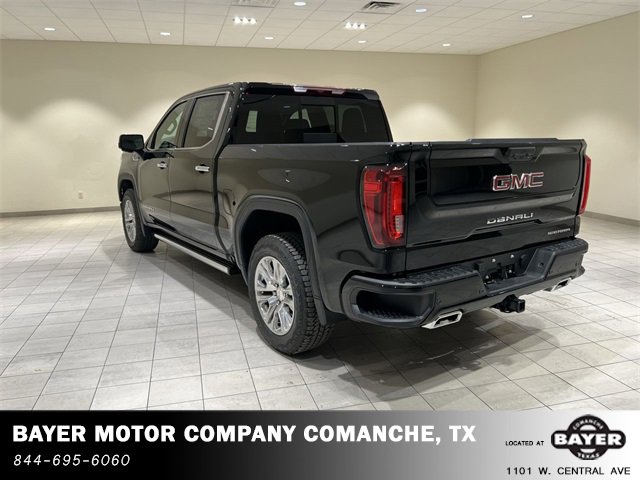 2025 Gmc Sierra 1500 Denali photo 3