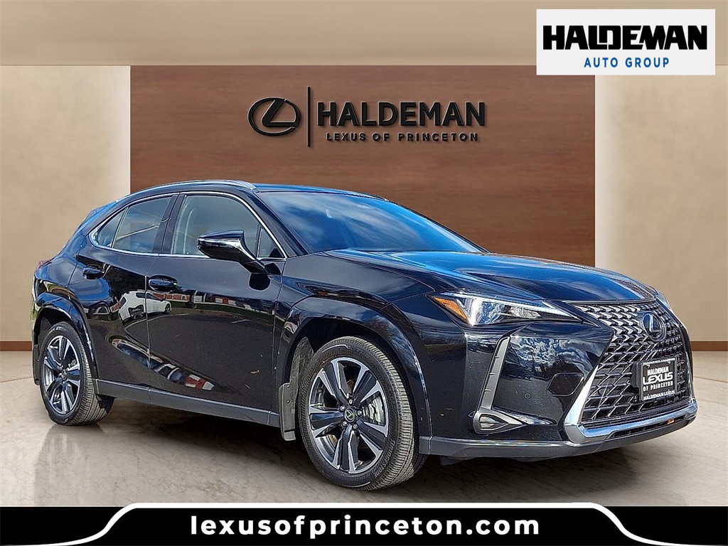 2025 Lexus UX Hybrid 300h Premium's photo