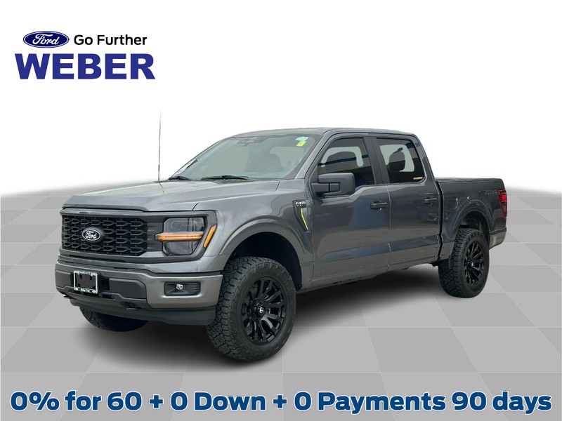 2025 Ford F-150 STX's photo