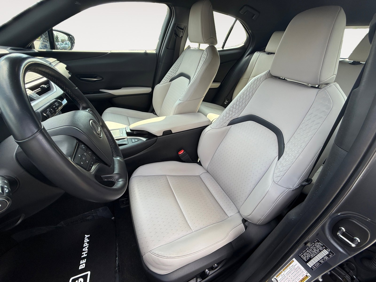 2020 Lexus UX 250h photo 10