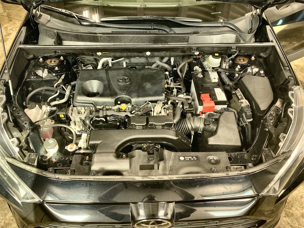 2019 Toyota RAV4 LE photo 15