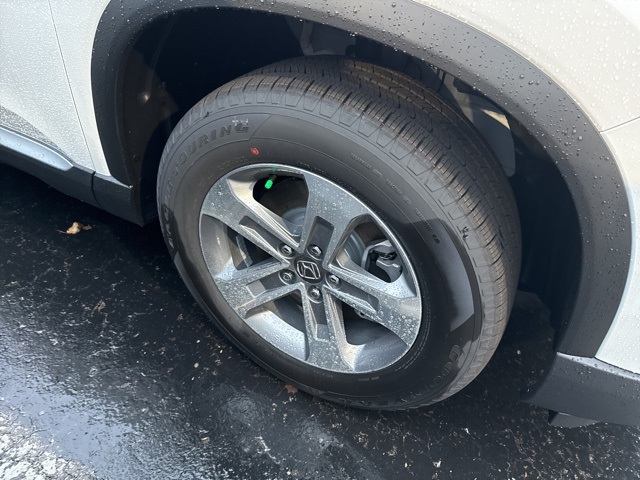 2025 Honda Pilot EX-L photo 4