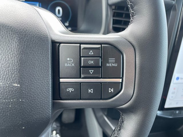 2025 Ford F-150 Lightning photo 23