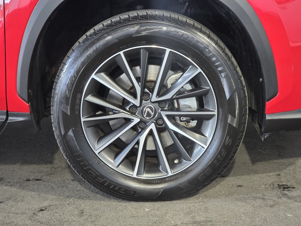 2023 Lexus NX 250 photo 4