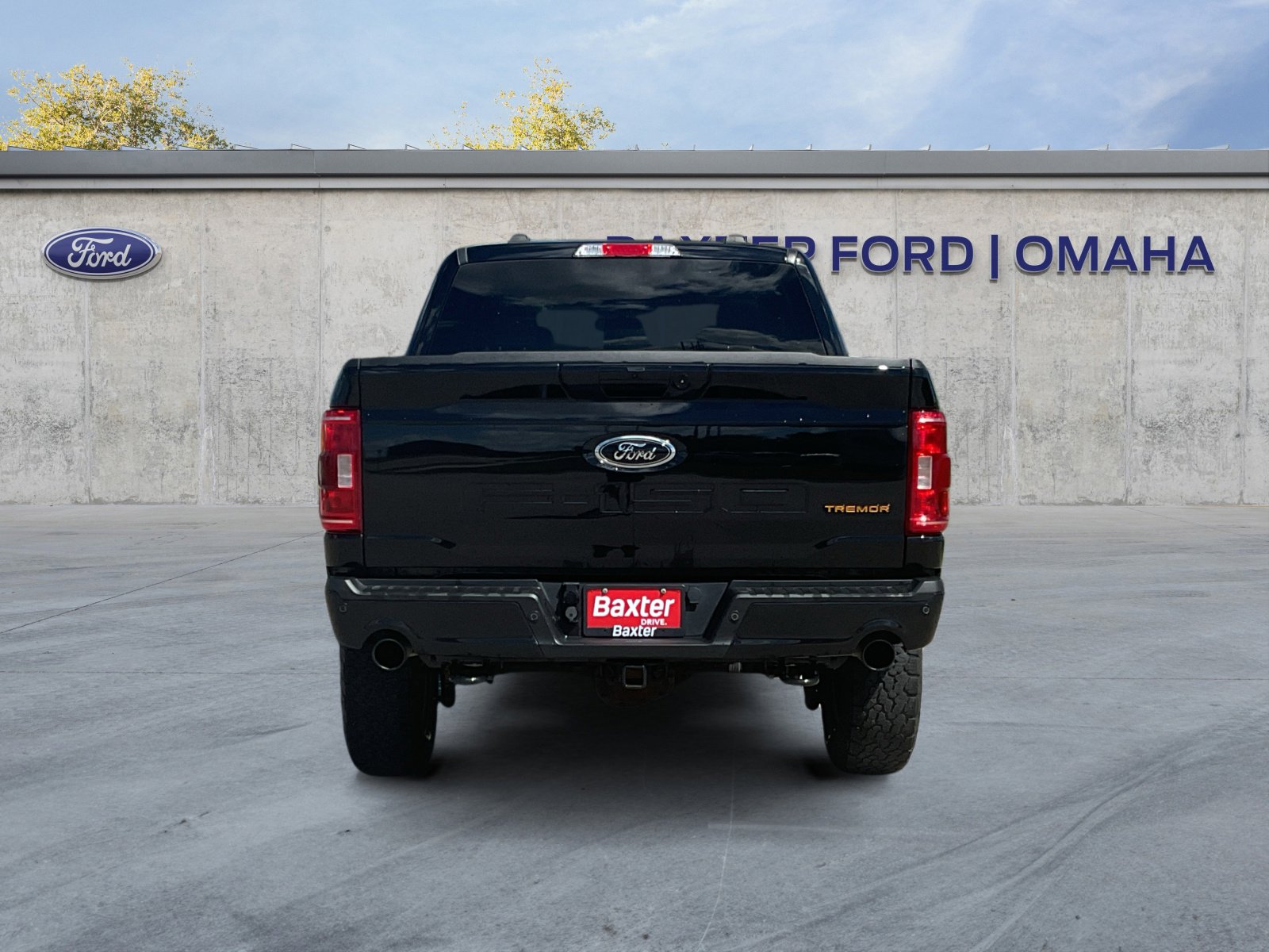 2021 Ford F-150 Tremor photo 6