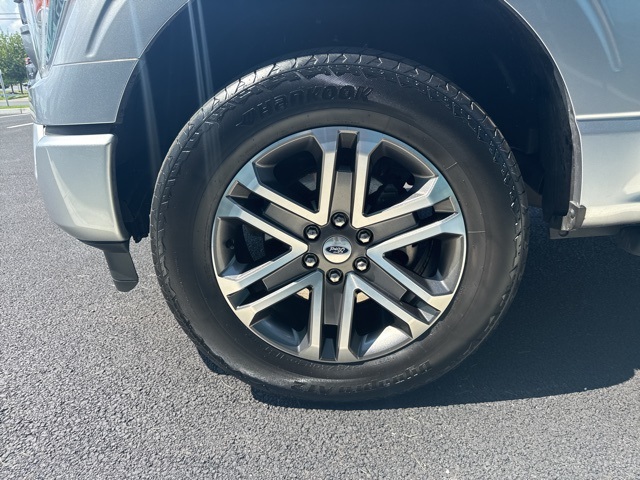 2021 Ford F-150 XL photo 6