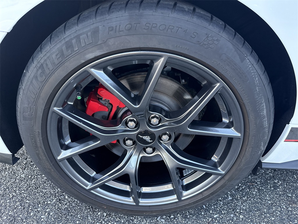 2022 Ford Mustang Mach 1 photo 18