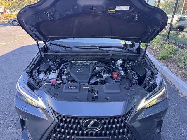 2023 Lexus NX 350 Luxury photo 9