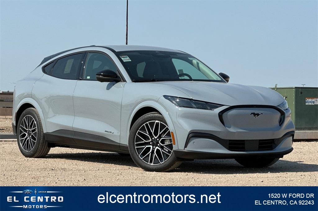 2025 Ford Mustang Mach-E Premium RWD's photo
