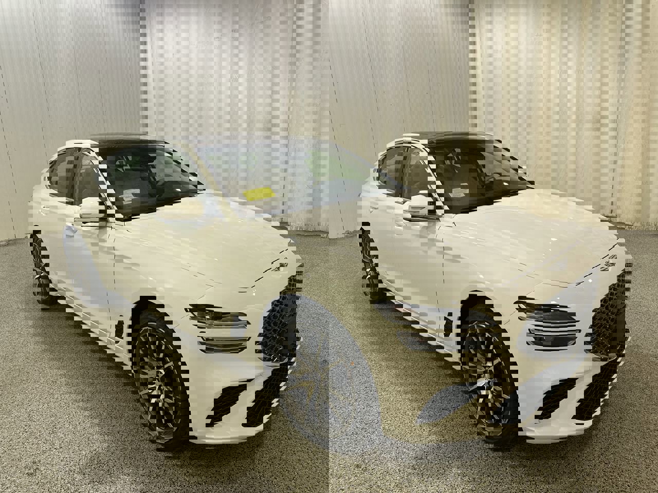 New 2026 Alta White Genesis 2.5T Prestige image 1