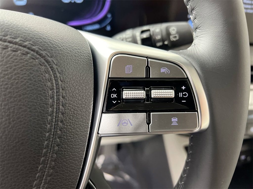 2025 Kia Telluride EX photo 11