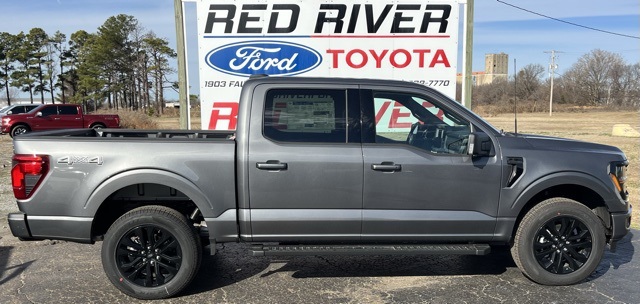 2025 Ford F-150 XLT's photo