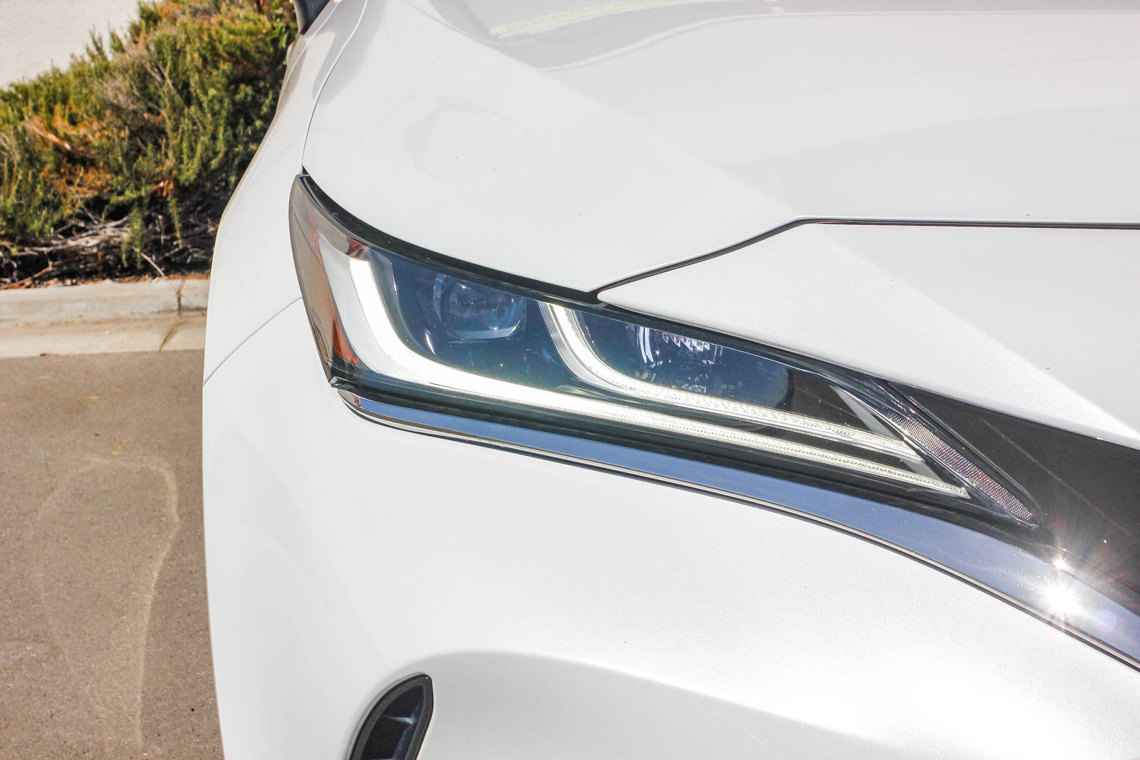 2023 Toyota Venza photo 4