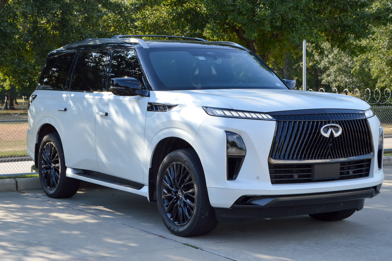 2025 Infiniti QX80 photo 3
