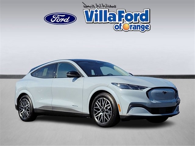 2025 Ford Mustang Mach-E Premium RWD's photo