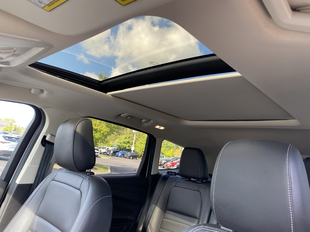 2019 Ford Escape SEL photo 5