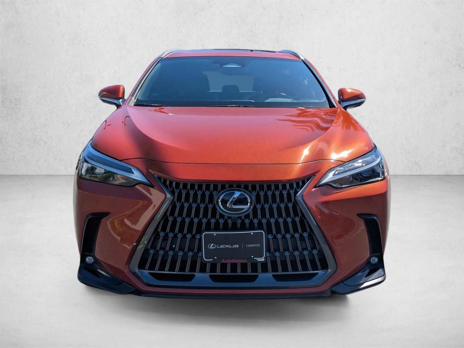 2024 Lexus NX 350 Premium photo 2
