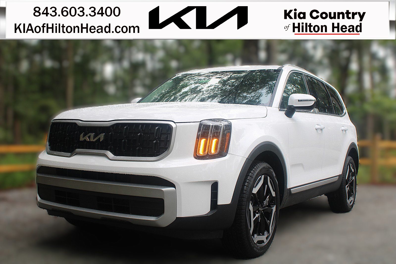 2025 Kia Telluride EX's photo