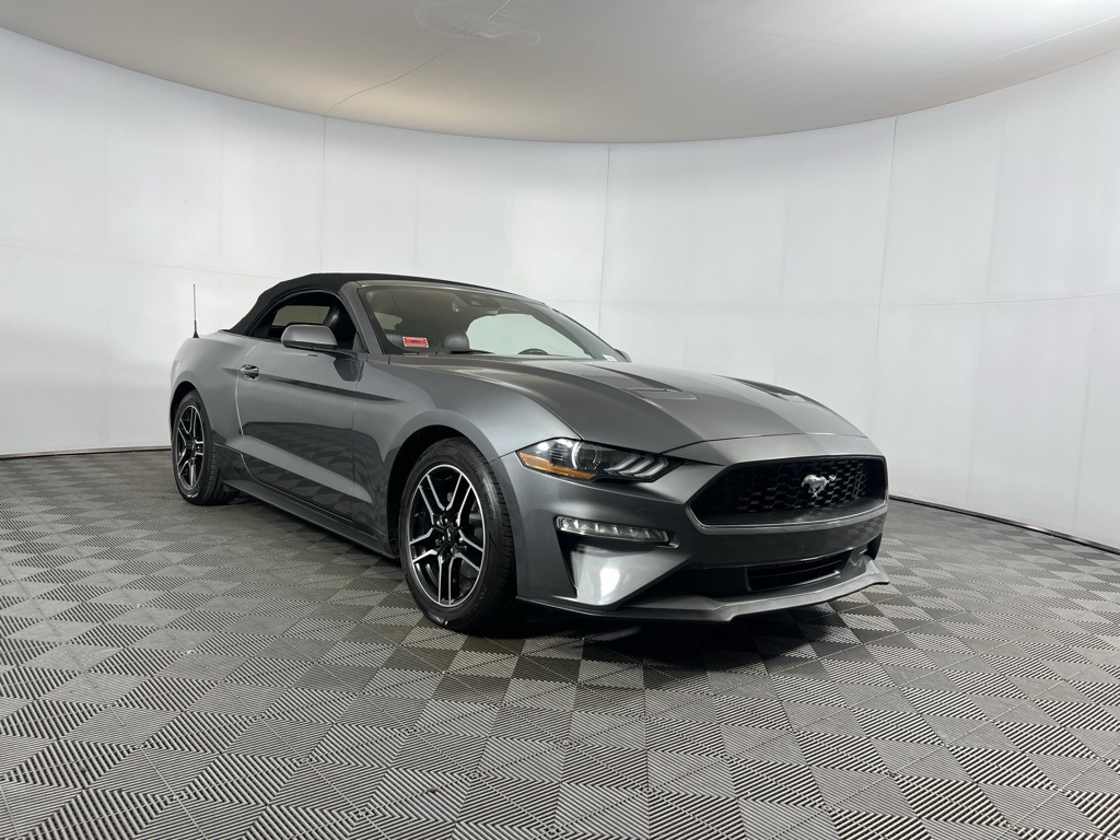2023 Ford Mustang EcoBoost Premium photo 2