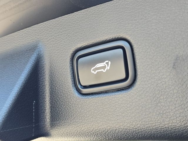 2021 Kia Telluride SX photo 10
