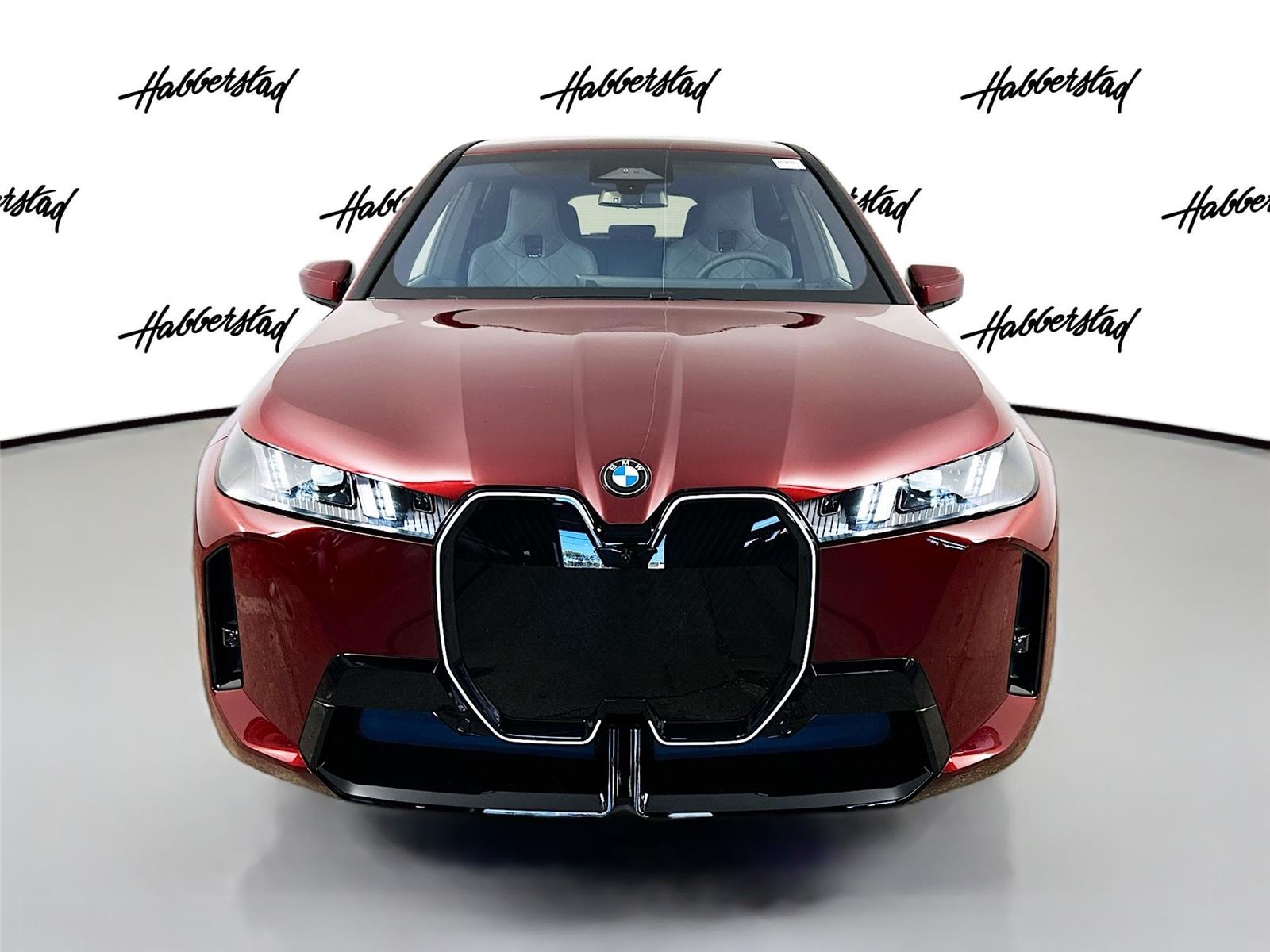 2026 Bmw iX photo 2