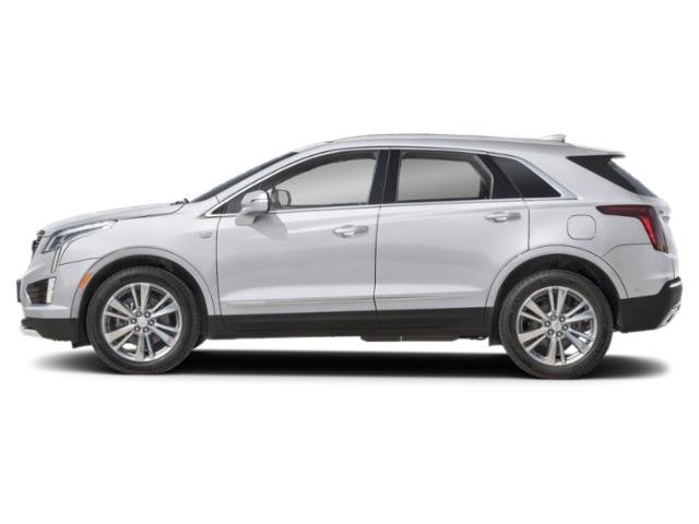 2023 Cadillac XT5 Premium Luxury photo 3