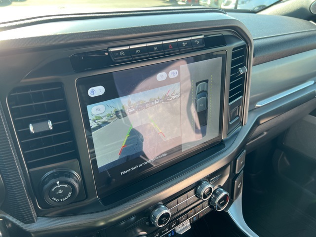 2024 Ford F-150 Platinum photo 9
