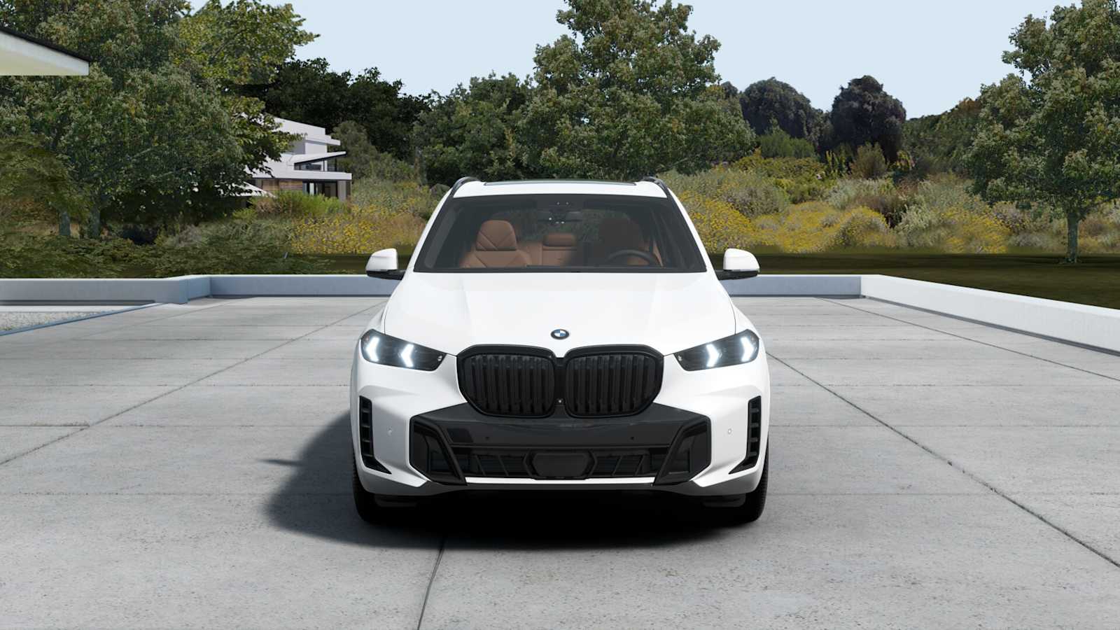 2026 Bmw X5 xDrive50e photo 3