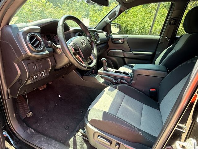 2023 Toyota Tacoma TRD Sport V6 photo 5