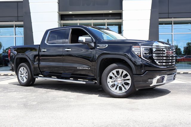 2025 Gmc Sierra 1500 Denali photo 2